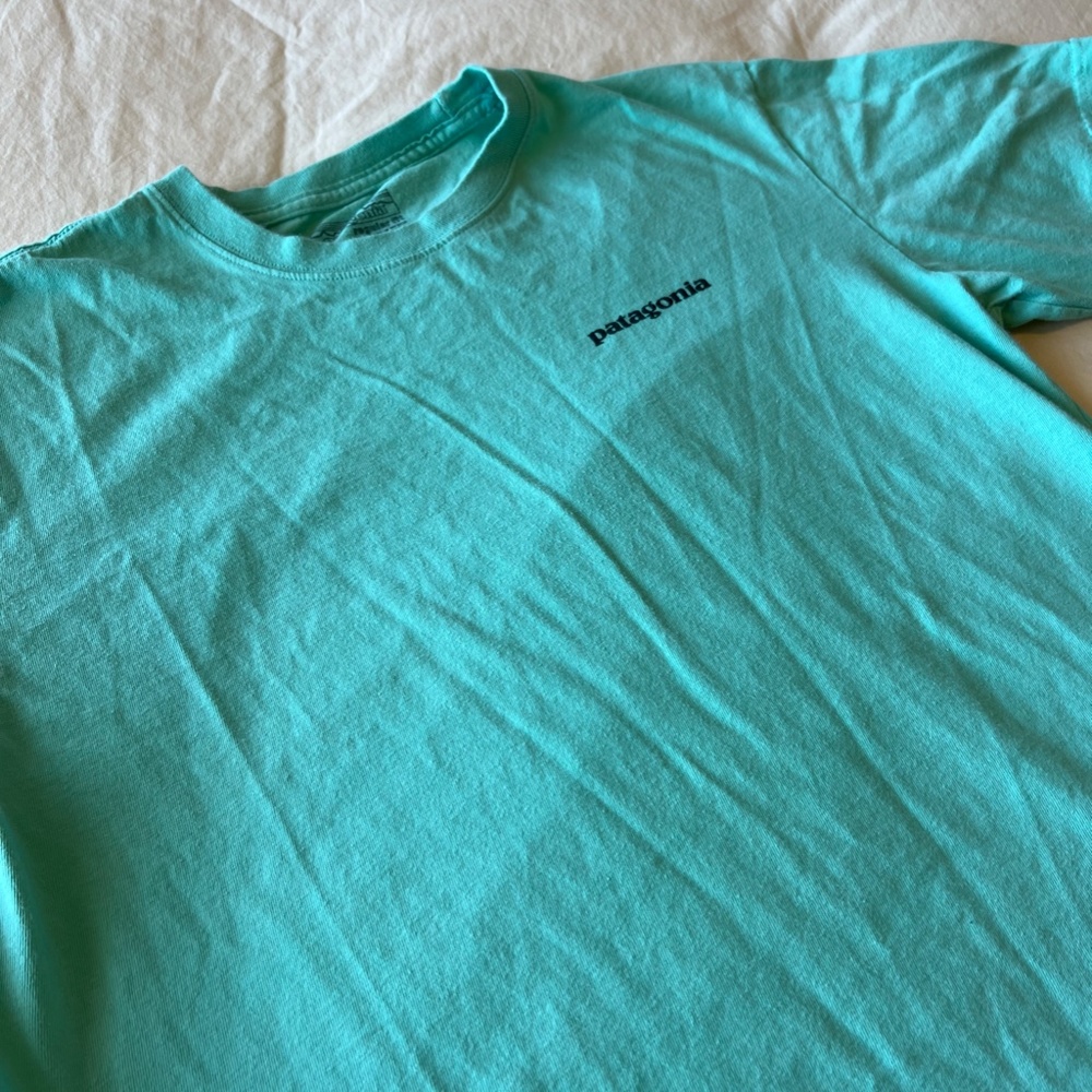 Teal Patagonia Shirt